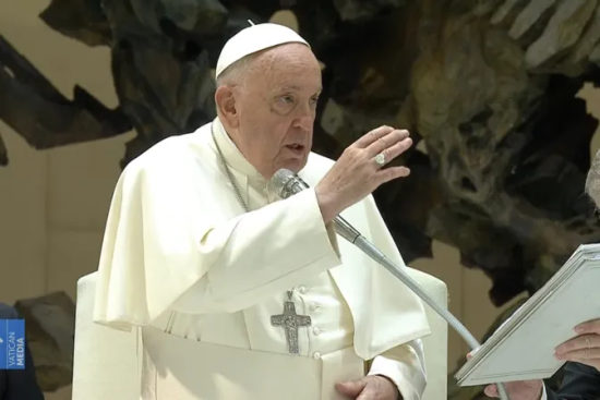 Papa Francesc: "Sense l’Esperit Sant l’Església no pot avançar, no creix, no pot predicar" dlvr.it/TBcLvx