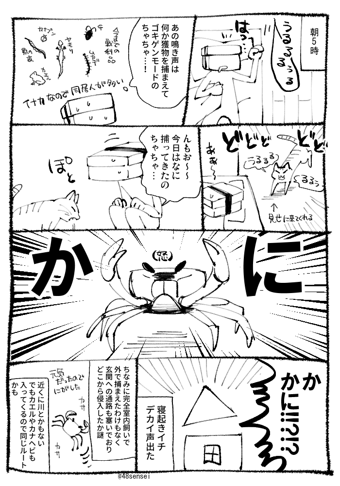 【実録】🦀 