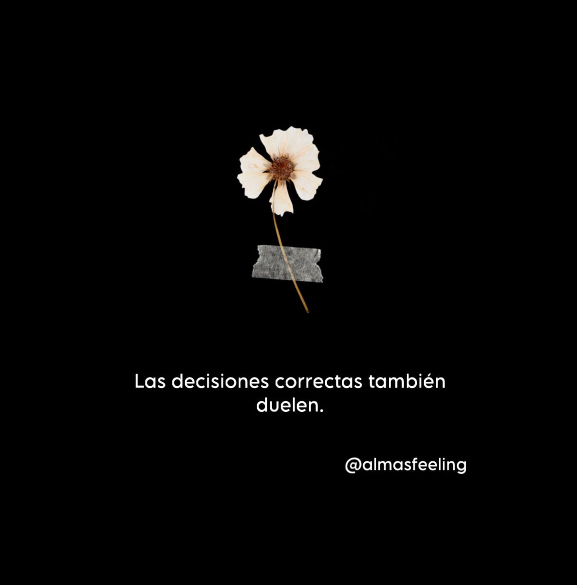 almasfeeling's tweet photo. Las decisiones correctas también duelen. https://t.co/8dggDS3u0q