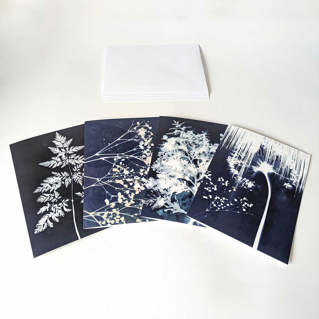 Redcliffe Imaging tweet media