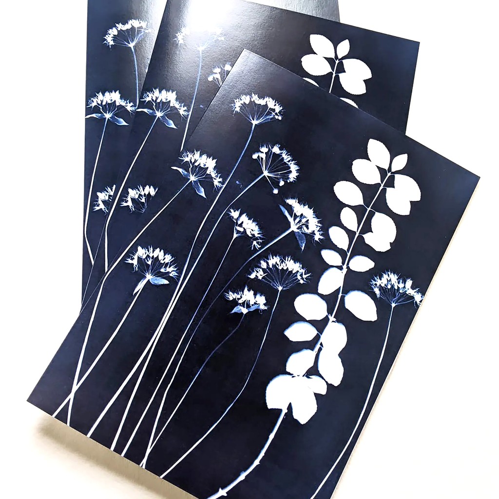 Redcliffe Imaging tweet media