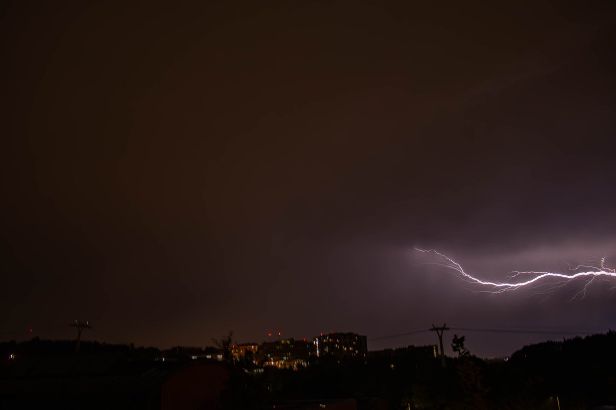 Adrian Golemis tweet media