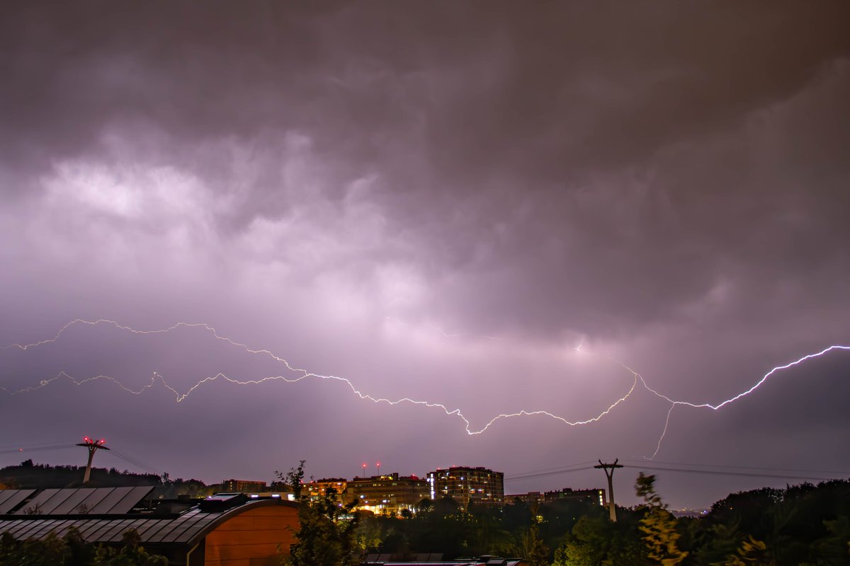 Adrian Golemis tweet media