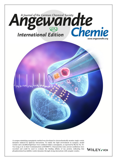 angew_chem's tweet photo. #OnTheCover Electrochemical Monitoring of Real-Time Vesicle Dynamics Induced by Tau in a Confined Nanopipette (Yi-Tao Long and co-workers) https://t.co/wpc5pRgju0 @YTLong_Chem https://t.co/2bX7YMk0Go https://t.co/H73DjXppWs