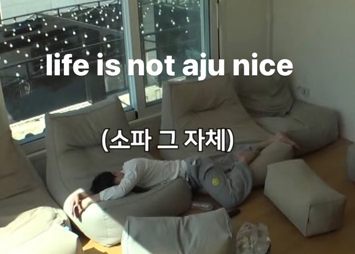 ☾⋆｡ ham⋆ ⋆⭒˚｡ (@dinocheoo) on Twitter photo 