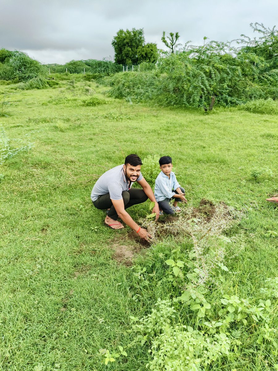 #एक_पेड़_मां_के_नाम