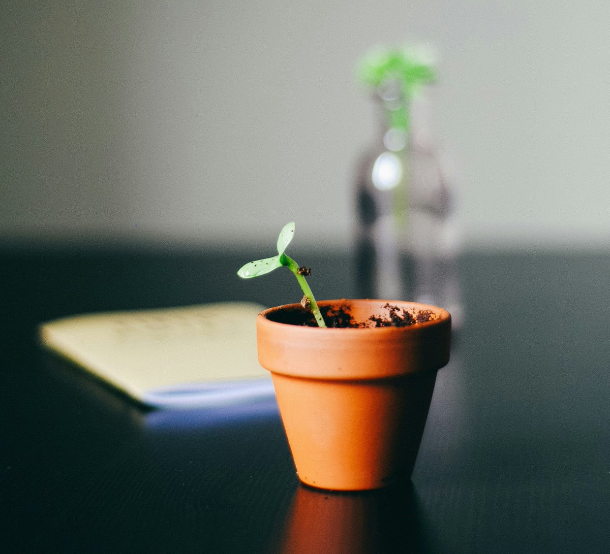 GrahamWealthMgt's tweet image. It&apos;s wise to balance growth with stability. 🖥️📈 #TechStocks #BalancedPortfolio