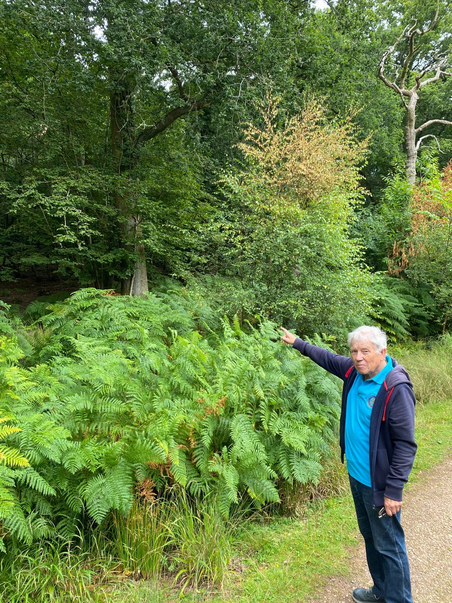 Potter Matters tweet media