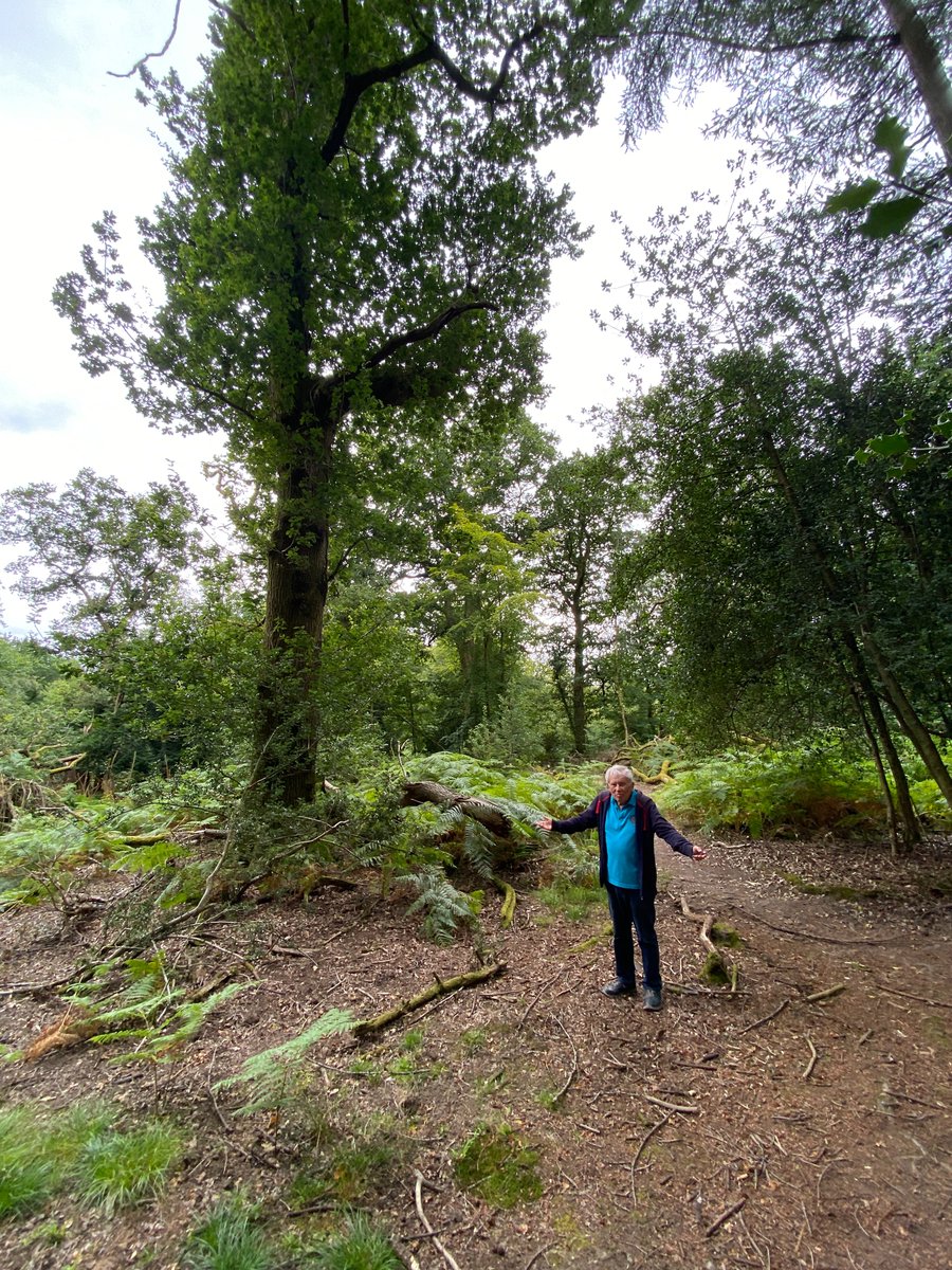 Potter Matters tweet media