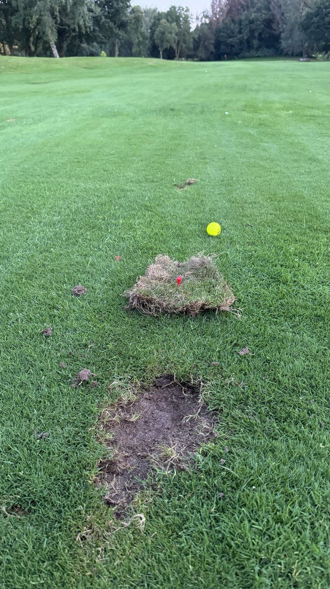 Rick Shiels PGA tweet media