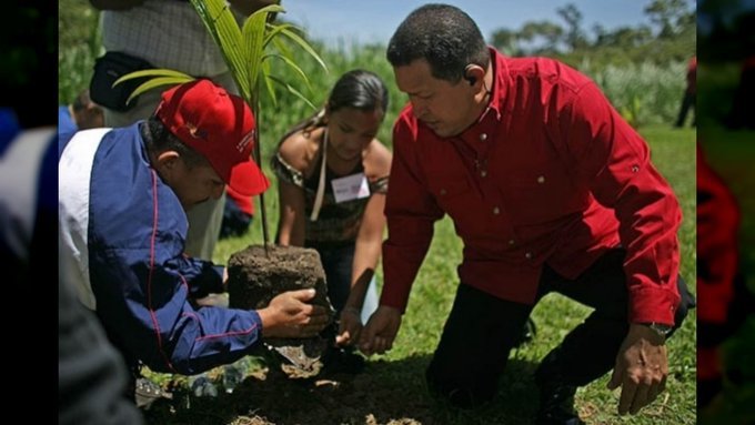 Luis Alexander C M 💻📲 tweet media