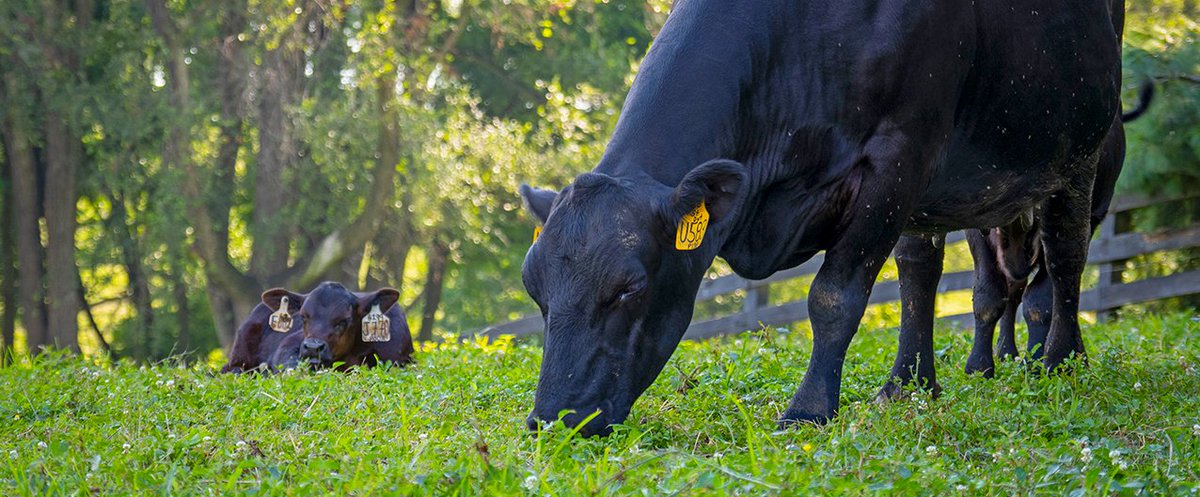 NRCS Maryland tweet media