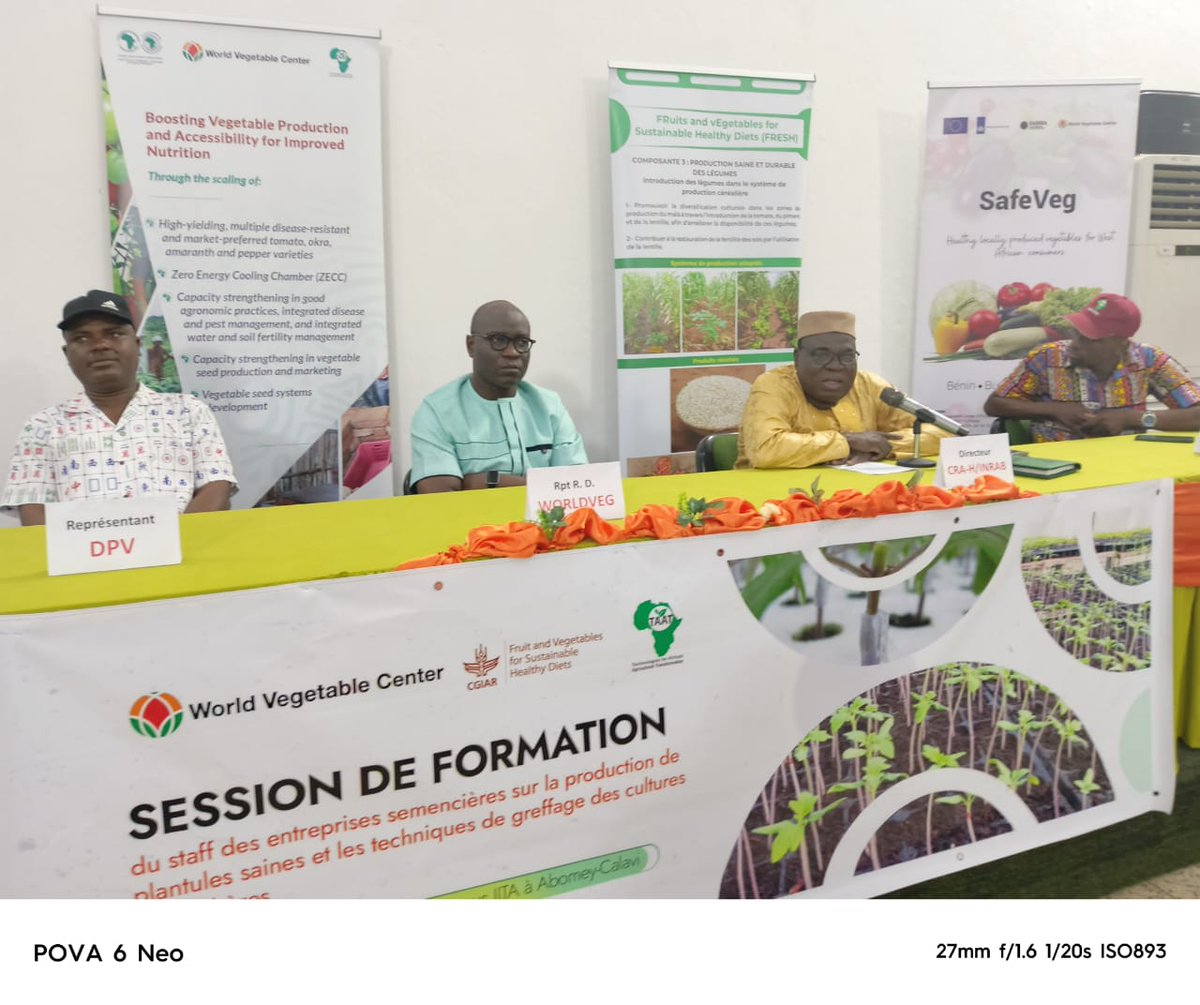 WorldVeg (West and Central Africa) tweet media