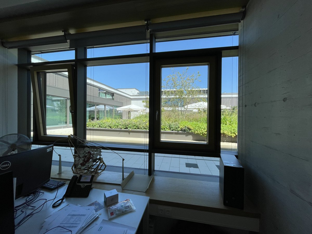 Joshua B. tweet media