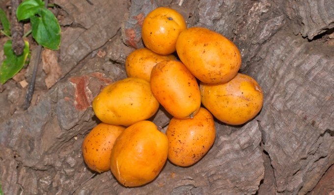 Luis Alexander C M 💻📲 tweet media