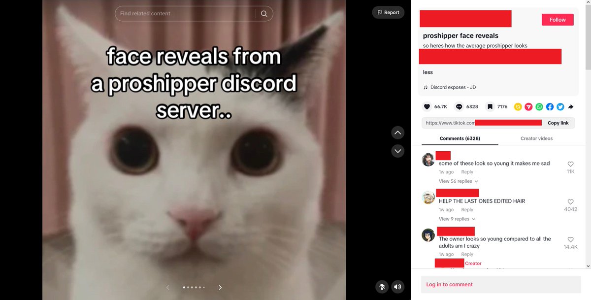 SamAburime's tweet image. So an anti-proship Tiktok doxxed a bunch of minors by taking photos from a proship discord server and posting them publicly. Then, when people say they're endangering said minors, anti-shippers are downplaying the severity saying the kids 'deserve' it or should 'know better'🧵