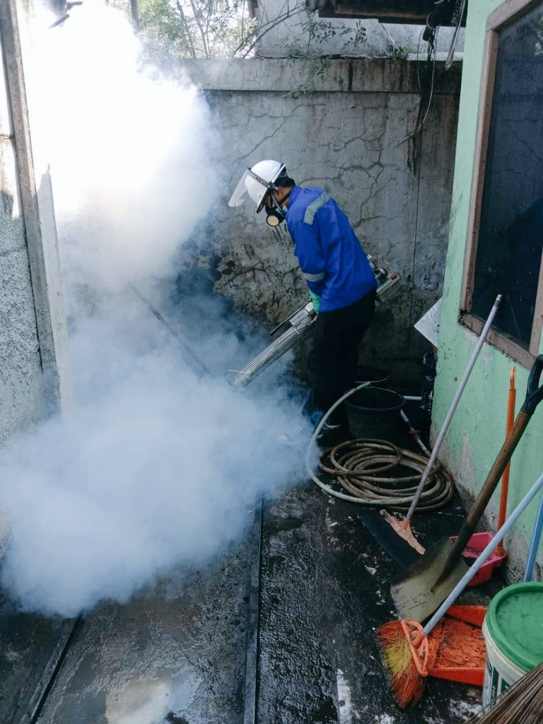 JasaBasmi's tweet photo. Fogging Nyamuk DBD....

Call 0813.1049.5640

#foggingnyamuk
#basminyamuk
#jasafogging https://t.co/MQBcCCr4Ep