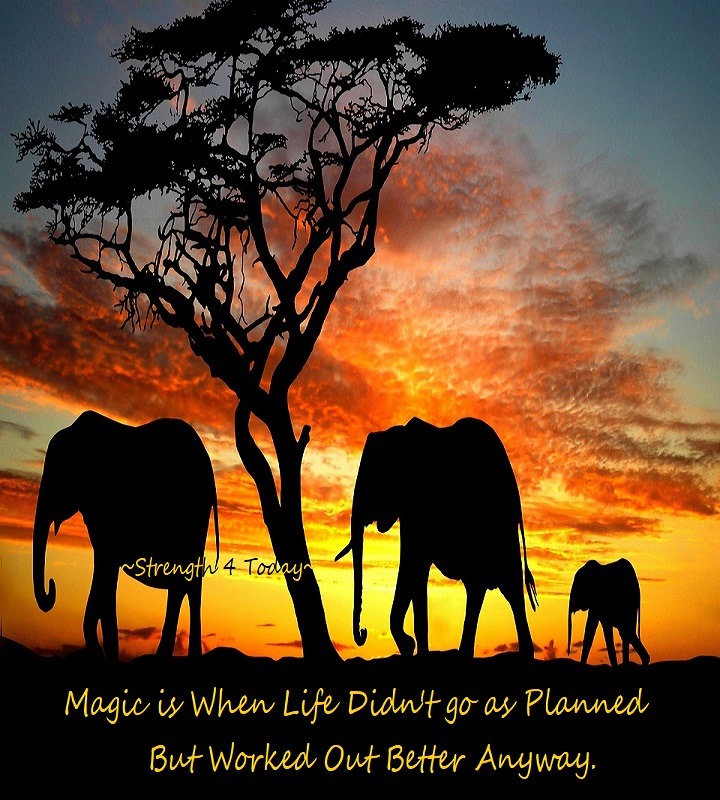 Strengthfor2day's tweet photo. Magic Is When Life Didn't Go As Planned
But Worked Out Better Anyway.
#Magic #Blessings #Life #AsPlanned #WorkedOut #Better #GodsWill #MyWill #RecoveryPosse #Strengthfor2day https://t.co/KQGFtjr96l