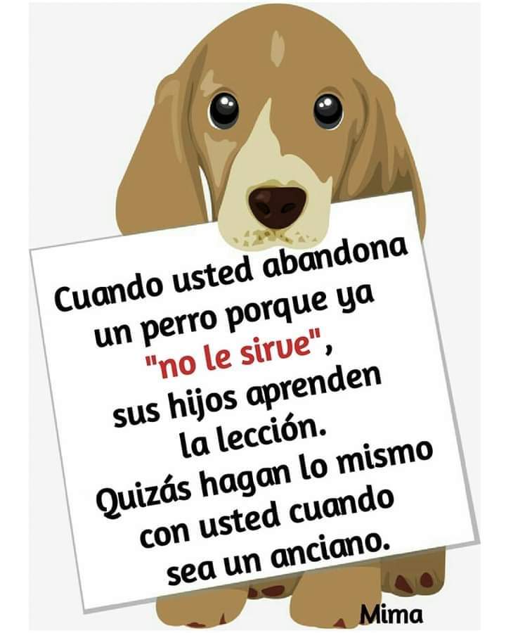 GRamirezF_D12's tweet photo. Buenos días Feliz miércoles ✨💖 https://t.co/AJrExIZvHp