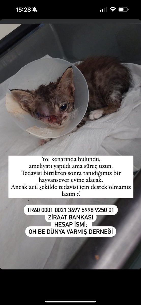 İnstagram etkileşimiz maalesef çok düştü, bağışlarımız azaldı.Her ay kirasını faturasını ödediğimiz, erzağını aldığımız 75 ihtiyaç sahini ailemiz, 83 burs verdiğimiz öğrencimiz var.50 TL bağış yaparak, paylaşım desteği vererek X sayfamızın büyümesine destek olabilirsiniz.