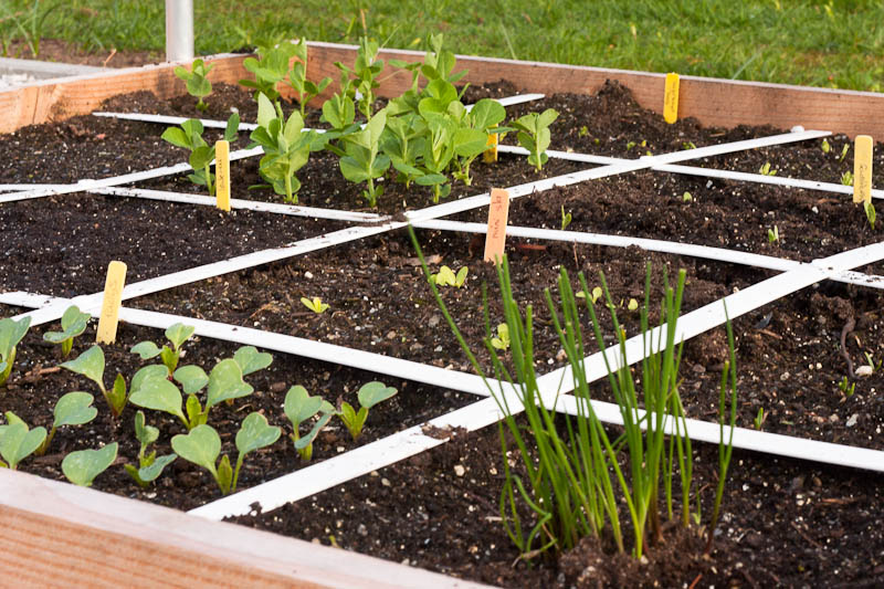 Workshops in #Vroomshoop en #Westerhaar over moestuin(bak) en goedkoop gezond koken
zorgsaamtwenterand.nl/nieuws/2024/wo…