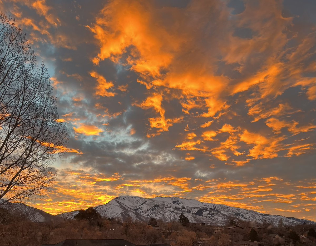 <a href="/brixwe/">•Ɛɱɱყ•</a> My home office view