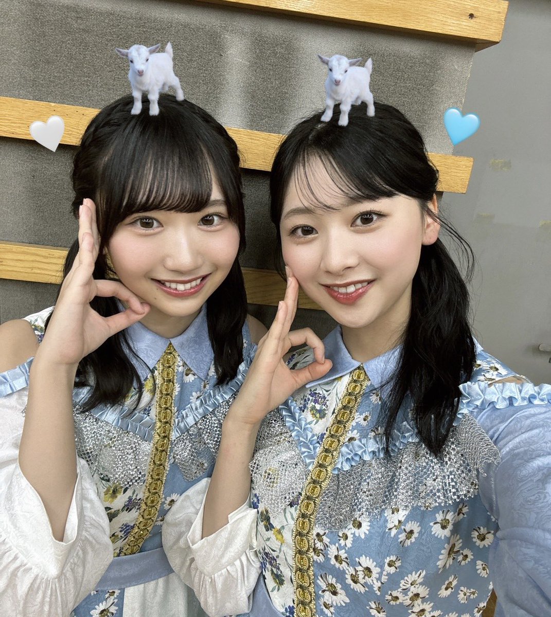 日向坂46 生写真　藤嶌果歩　お願いバッハ 夏フェス サンタ 言葉の限界　コンプ 日向坂46 藤嶌果歩 生写真 コンプ お願いバッハ！MV - メルカリ