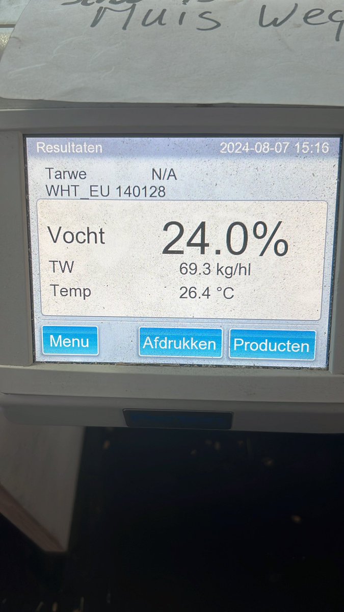 Zomertarwe  dolfijnweg