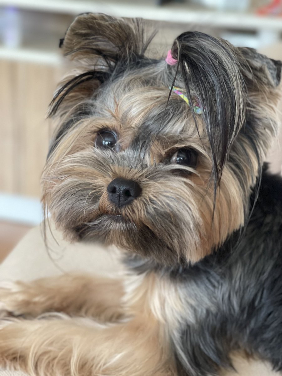 Anne kuzum 🫶🏼 koşulsuz şartsız tek sevenim. 🥰