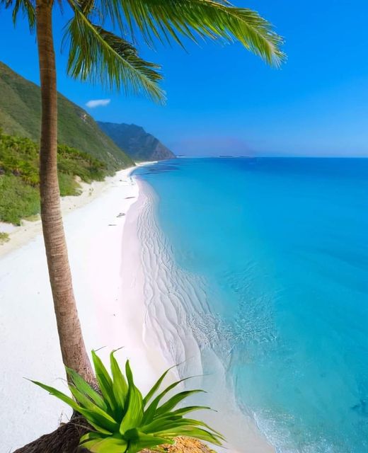 post4m's tweet image. Happy Afternoon