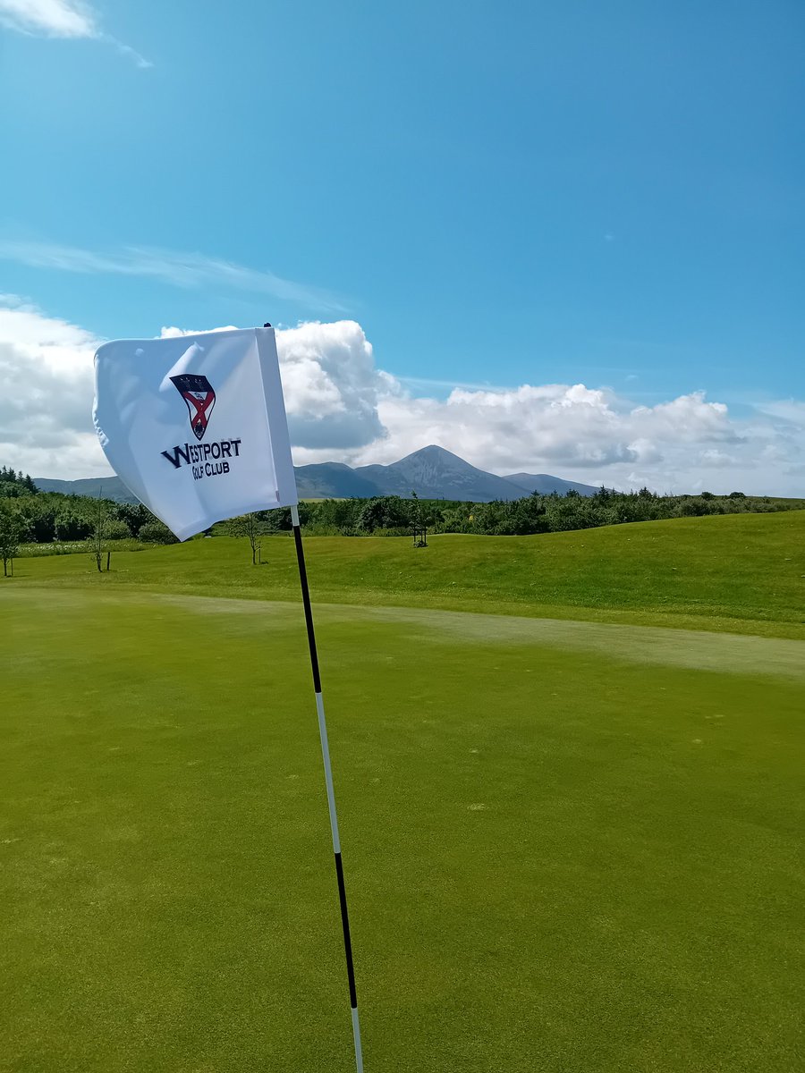 Westport Golf Club tweet media