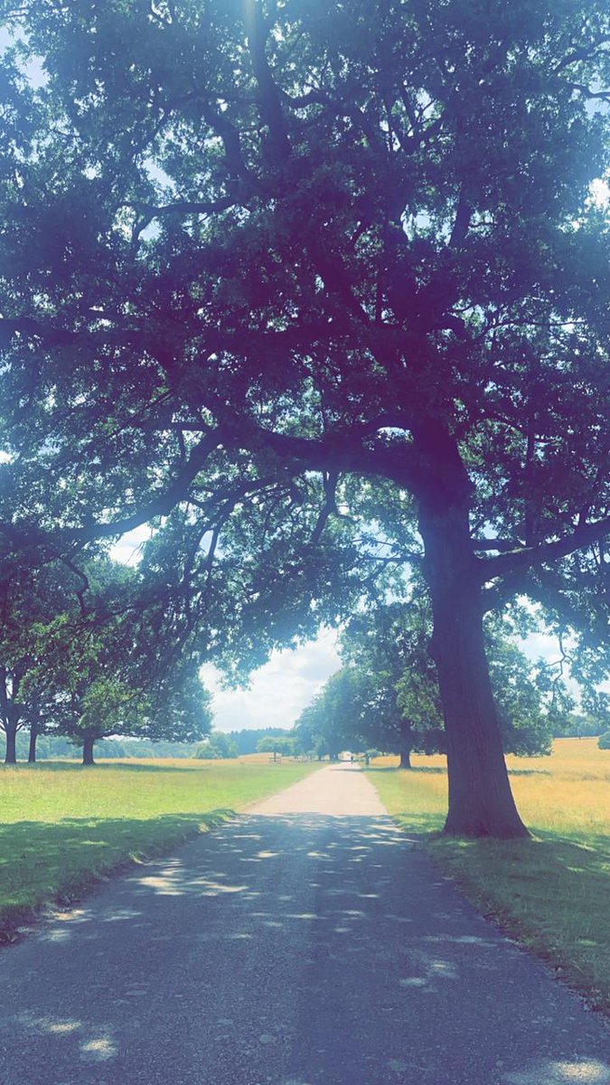 ExpressCollege's tweet photo. 🤔Have you ever been to Knutsford? 

🦌It's has stunning nature in Tatton Park, where you can see deer and sheep and other animals. The students even had the chance to visit Tatton Hall - opened in 1884! 

❔Would you like to join our trips to enrich your learning experience? 

#EEC #expressenglishcollege #studyenglish #studyenglishwithus #studyenglishintheUK #studyintheUK #learnenglish #learnenglishintheUK #learnenglishwithus #classmates #englishfun #es| #trip #learning #englishinreallife #englishintherealworld