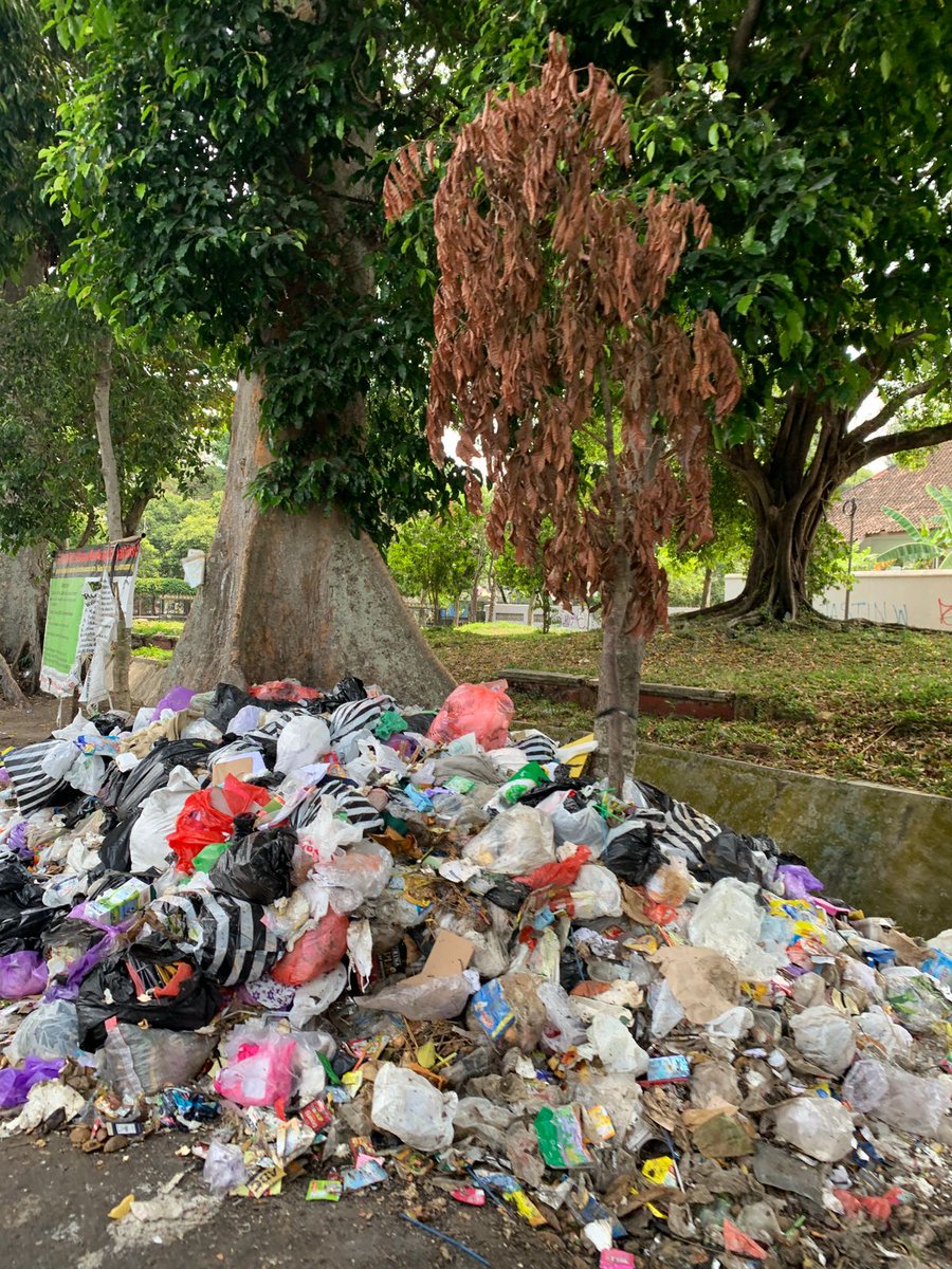 SegoNdoq's tweet photo. *Sudut OPINI*
“umpamane Wit e dipasangi kain putih muteri wit e, terus di pasangi Dupo, karo menyan kayane raono le wani mbuang sampah ngasi ko ngene. njut ngko lingkungane dadi resik, masalah sampah teratasi.. heshh ngene ndadak aku le mikir”

-hehehee

#sampah #opini
#jogja https://t.co/5oP7zrvYzQ