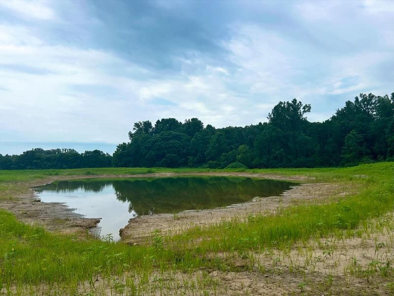 Post 2/2

This initiative introduces a new wetland to the Sanctuary and adds 8,800 new trees to Kennedy Woods! More news to come about a trail expansion that will include a lookout point to view this area.

[...]