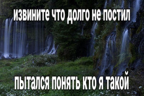 ⋆ рика ✷༘ ⋆ tweet media