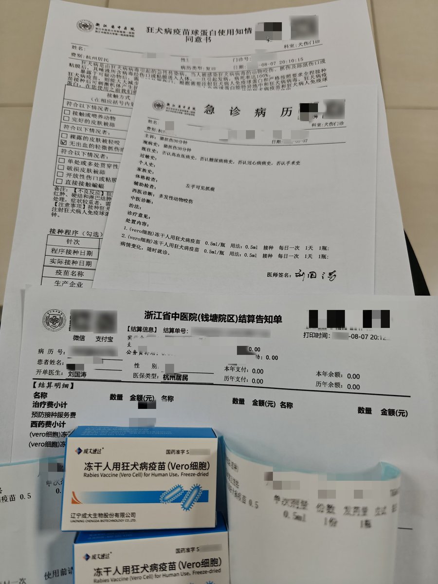 亲爱的小猫，麻烦你下次别躲路边阴影里然后窜出来给我一下，谢谢，我可以给你带猫条