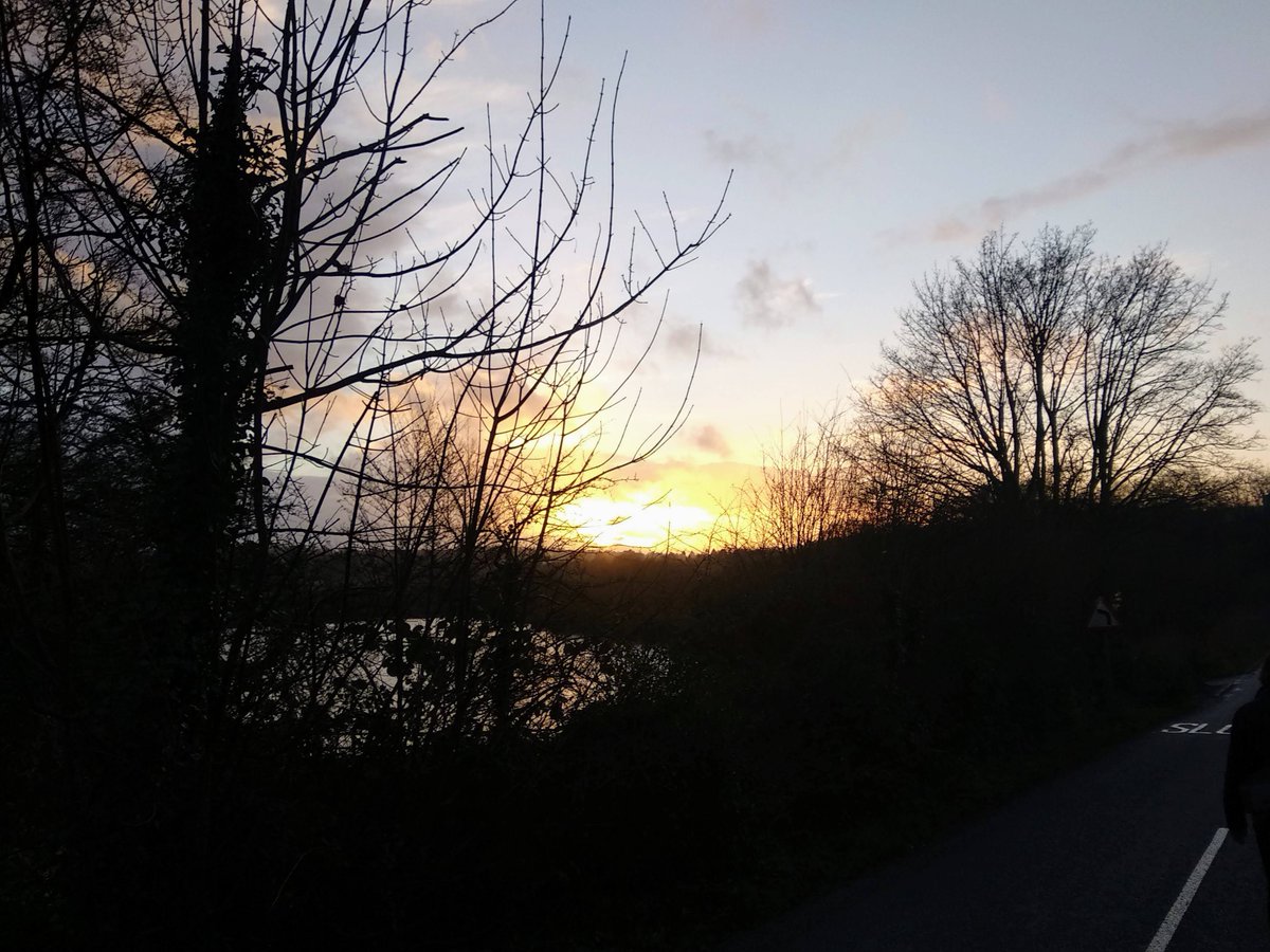 Marcus Belben (he/him) tweet media