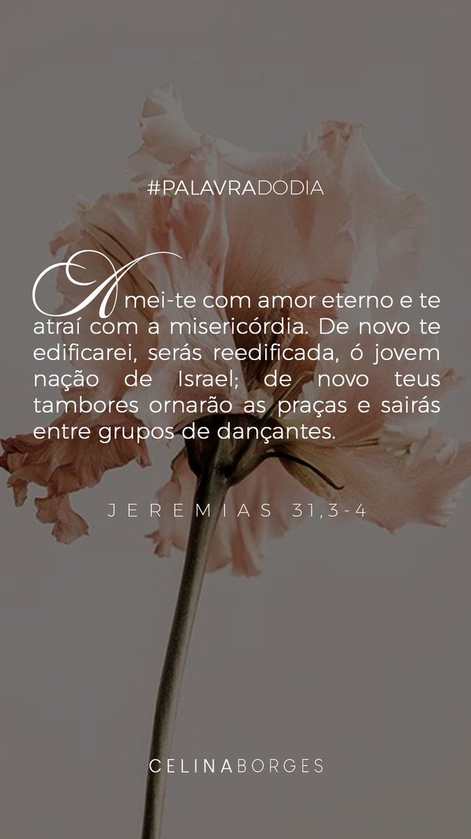 Celina Borges tweet media