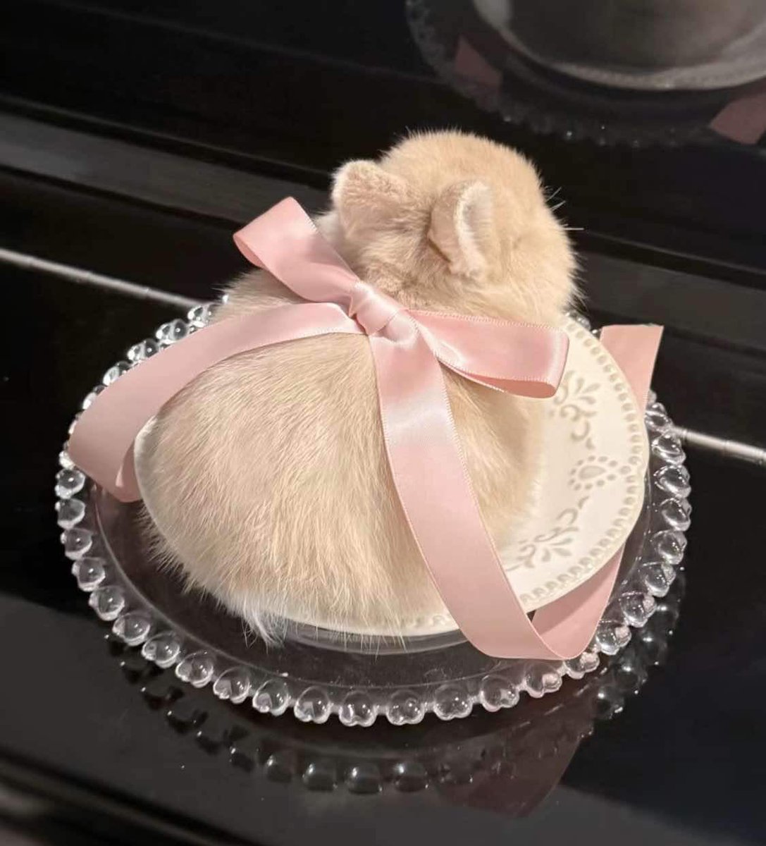 bunnieswbows's tweet photo. me https://t.co/3NBYjBhPva