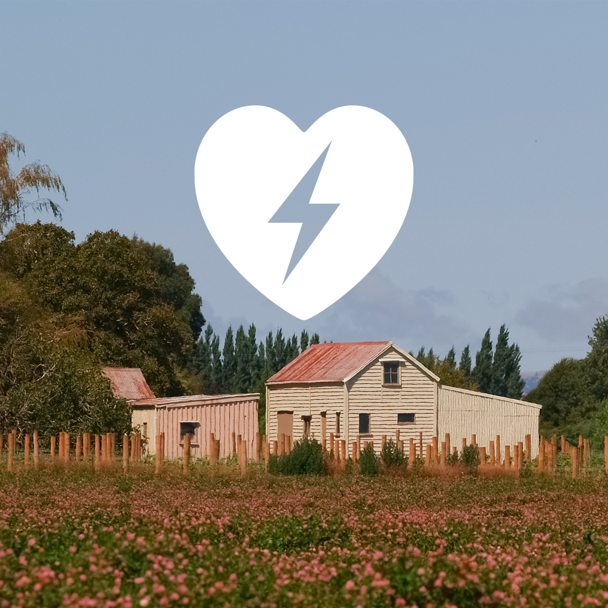 Cada vez son más los usuarios que optan por disponer de un DEA en su casa, especialmente aquellos hogares que se encuentran en puntos de más difícil acceso 🏡 o no disponen de vecinos cerca.
👉 Si quieres cardioproteger tu hogar, consúltanos los planes de alquiler de un equipo.