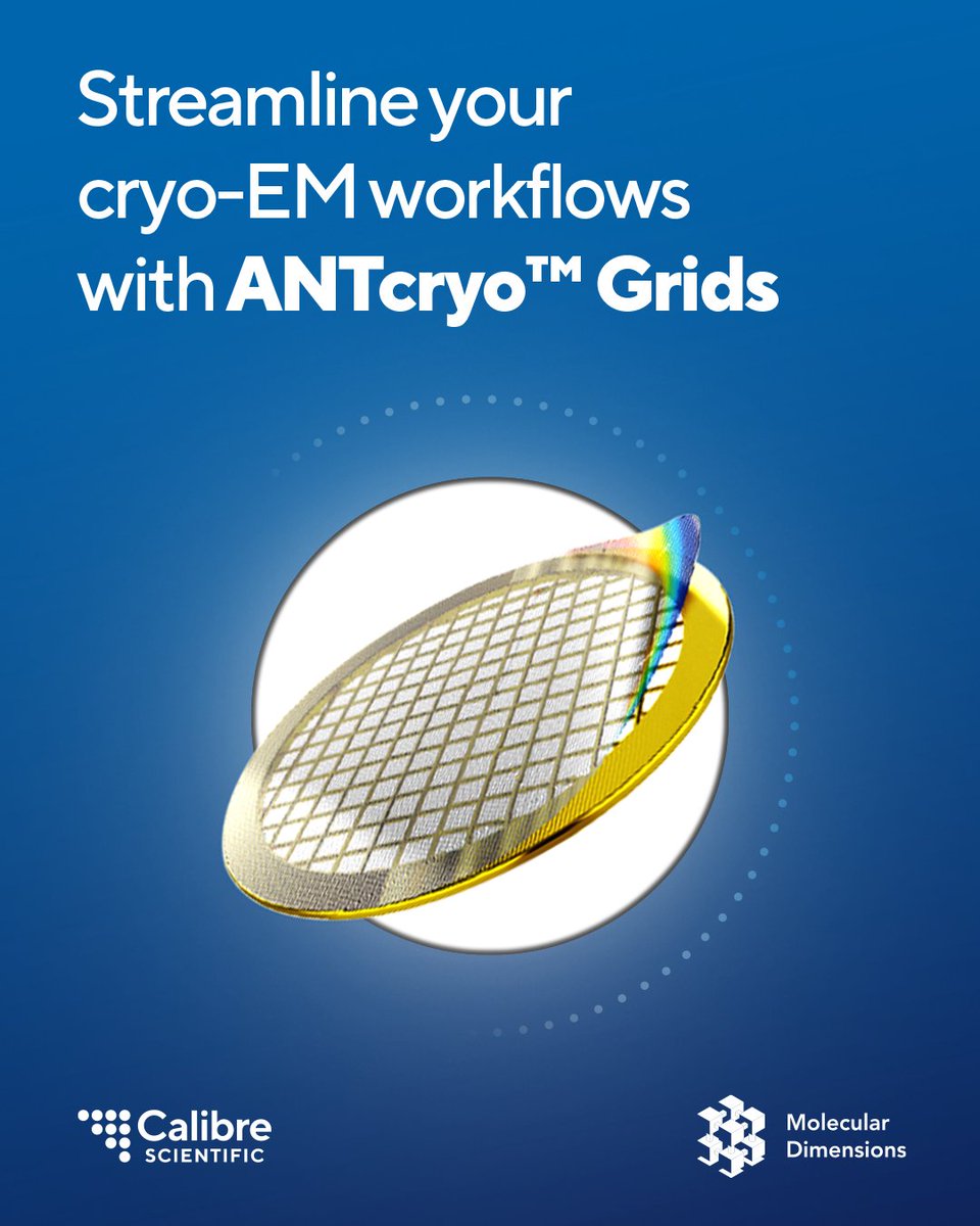 MolecDimensions's tweet photo. Amorphous Nickel-Titanium Holey Foil Grids for Cryo-EM (ANTcryo™) have several user-friendly advantages including high porosity and excellent conductivity!

Learn more about ANTcryo™ grids: https://t.co/reZrqQ0gpc

#cryoEM #microscopy #structuralbiology https://t.co/nYeOQJK9o4