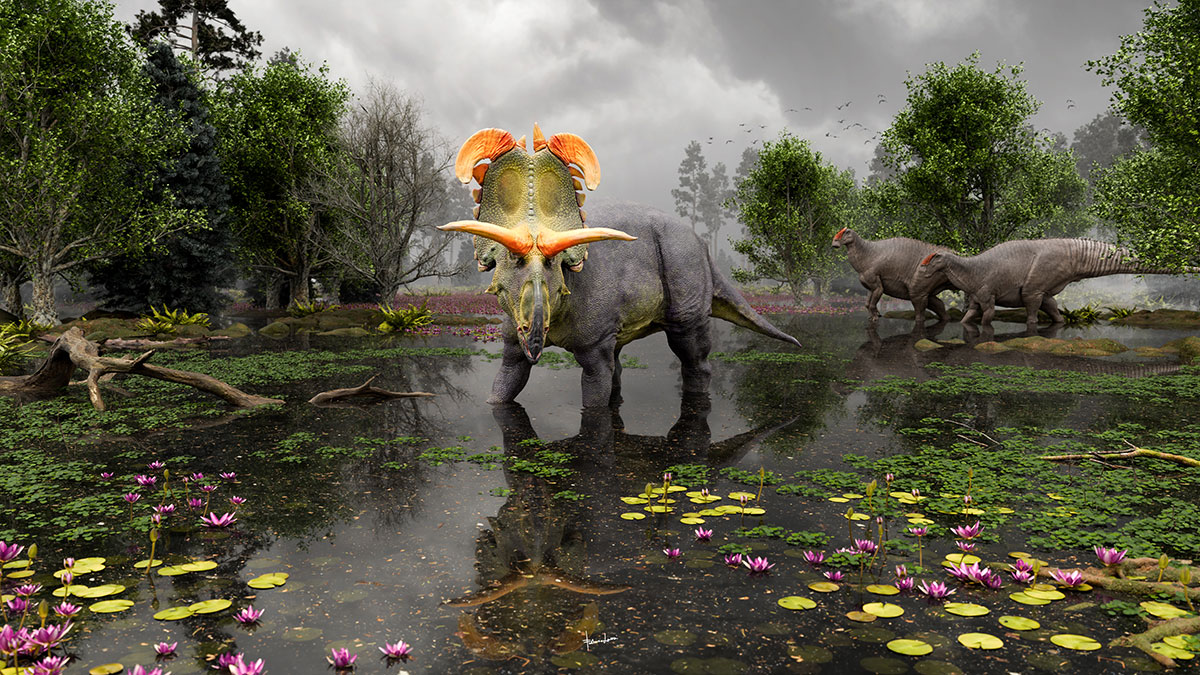 Researchers from <a href="/uutah/">University of Utah</a> have unveiled a newly discovered species of horned dinosaur at the <a href="/NHMU/">NHMU</a>. This 78-million-year-old dinosaur, excavated from northern Montana, is the largest and most ornate horned dinosaur ever found.

Learn more: aau.edu/research-schol…