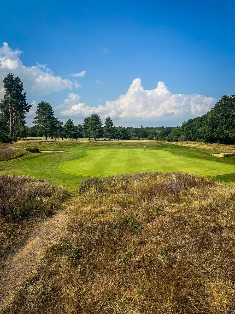 National Club Golfer tweet media