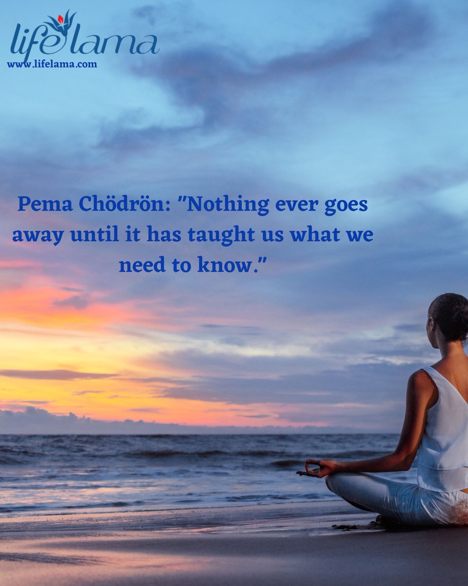 LifeLama's tweet photo. The Lesson https://t.co/NvbdPaXXYq