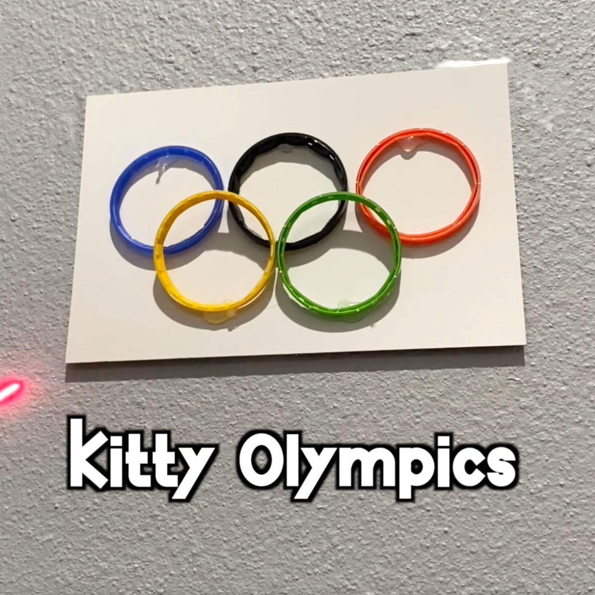 ColeTheBlackCat's tweet photo. We went over budget on our latest video, but it's all worth it to showcase the athletic ability of our cats... and of course make you laugh! ๐คฃ
Watch here: https://t.co/OCB725ahMM
#CatOlympics #KittyOlympics #CatsOfTwitter #CatVideos #Cats #Olympics2024 https://t.co/tURdJnqfTA