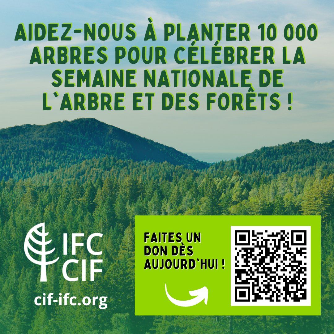 CIF_IFC's tweet image. Join us in #PlantingTheFuture! 🌿

Every tree planted helps combat climate change and restores our beautiful forests. 

Learn more about the CIF-IFC Tree Planting Challenge and donate here: chuffed.org/project/planti… 

#TreeByTree #CIFReforestation #RootedInCIF
