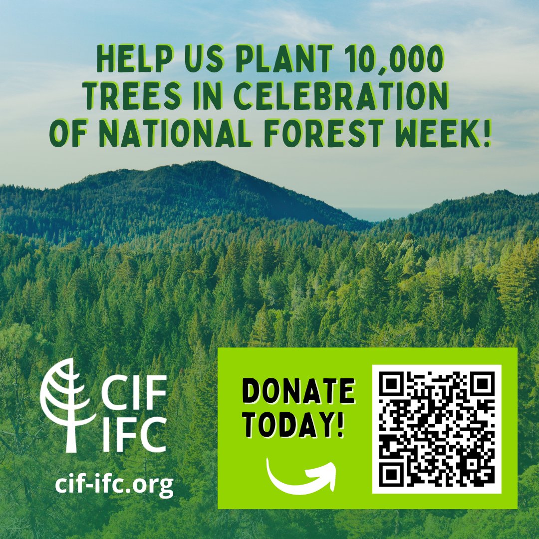 CIF_IFC's tweet image. Join us in #PlantingTheFuture! 🌿

Every tree planted helps combat climate change and restores our beautiful forests. 

Learn more about the CIF-IFC Tree Planting Challenge and donate here: chuffed.org/project/planti… 

#TreeByTree #CIFReforestation #RootedInCIF