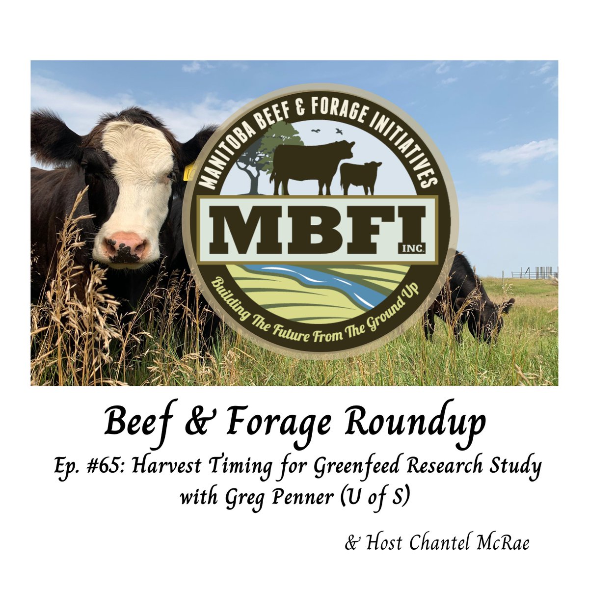 Manitoba Beef & Forage Initiatives (@mbbeefandforage) on Twitter photo New Episode!
Today we are talking about Harvest Timing for Green Feed with Dr. Greg Penner.
Subscribe today! Available wherever you listen to podcasts & at the “Beef and Forage Roundup” website at: beef-and-forage-roundup.captivate.fm
<a href="/MBGovAg/">Manitoba Agriculture</a> <a href="/DUCmanitoba/">Ducks Unlimited MB</a> <a href="/ManitobaBeef/">Manitoba Beef Producers</a> <a href="/Gregpenner3/">Greg Penner</a> New Episode!
Today we are talking about Harvest Timing for Green Feed with Dr. Greg Penner.
Subscribe today! Available wherever you listen to podcasts & at the “Beef and Forage Roundup” website at: beef-and-forage-roundup.captivate.fm
<a href="/MBGovAg/">Manitoba Agriculture</a> <a href="/DUCmanitoba/">Ducks Unlimited MB</a> <a href="/ManitobaBeef/">Manitoba Beef Producers</a> <a href="/Gregpenner3/">Greg Penner</a>