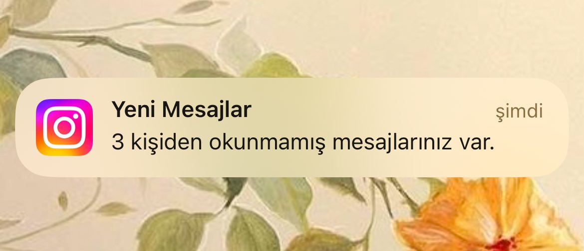 Burdasın dokunamıyorum çok saçma  #instagramaçılsın