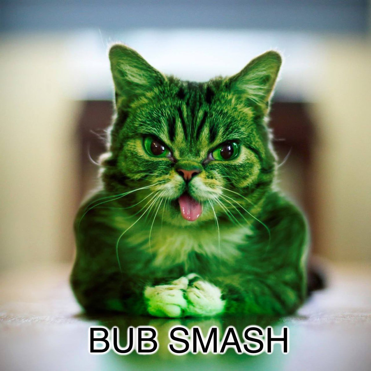 defi_prodigy's tweet photo. @Crypto_Joker69 Well
Written brother! $BUB is the one ☝️ https://t.co/mSw3yGBqxy